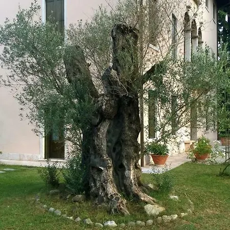 Cecchin Maison d'hôtes Marostica